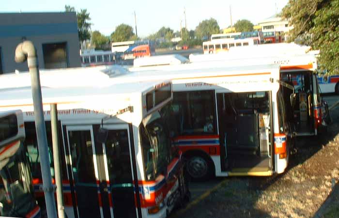 Victoria Regional Transit Darts